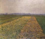 Gustave Caillebotte Yellow field china oil painting reproduction